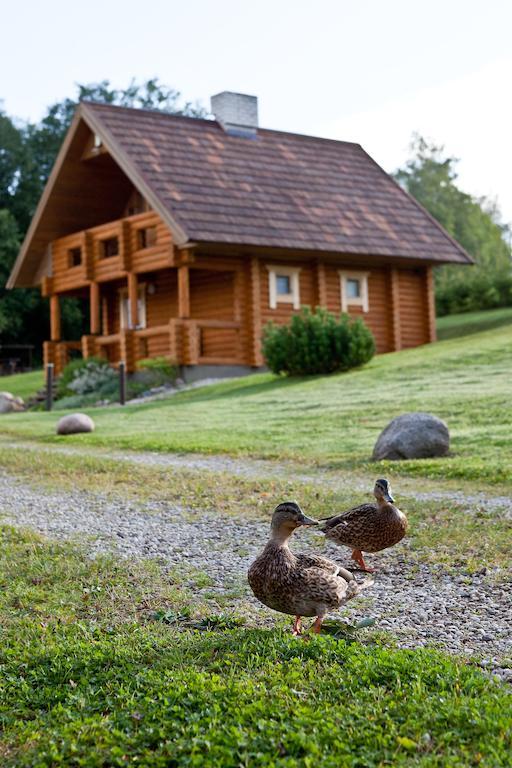 Partsilombi Holiday Home Otepää Zewnętrze zdjęcie